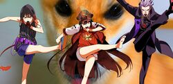 Post 3269085