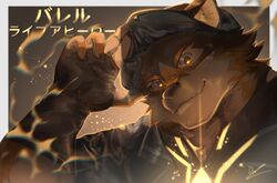 Post 3270813