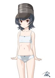 Post 3294381