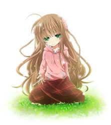 Post 6791335