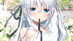 Post 3317058