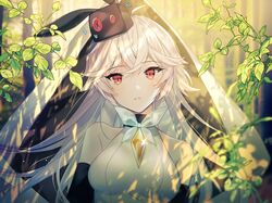 Post 3339102