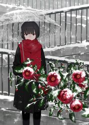 Post 3361225