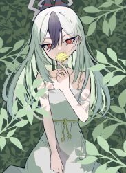 Post 6969175