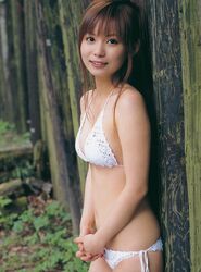 Post 328336