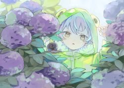 Post 7007407