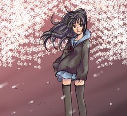 Post 330110
