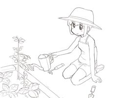 Post 3433079