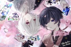 Post 3439049