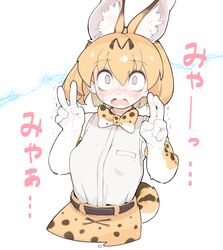 Post 3460126