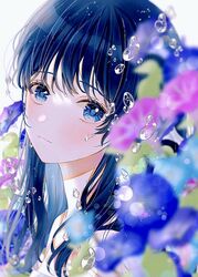 Post 3509492