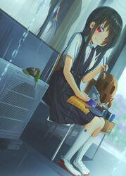 Post 3511065