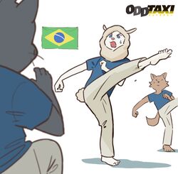 Post 3527260