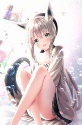 Post 3527084
