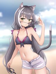 Post 3527055