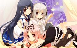 Post 341001