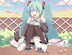 Post 344026