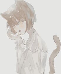 Post 3580521