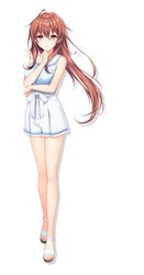 Post 3604048