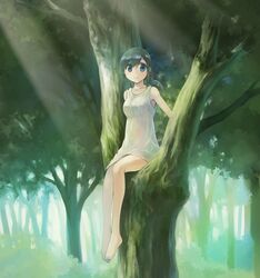 Post 3625114