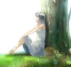 Post 3625416