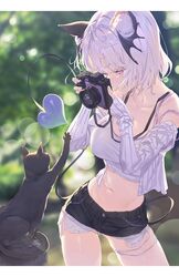 Post 3629070