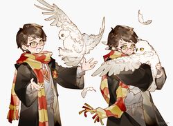 Post 3687247