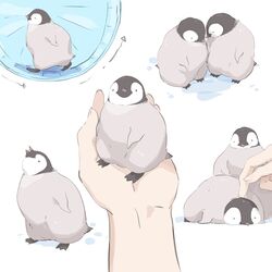 Post 3690803