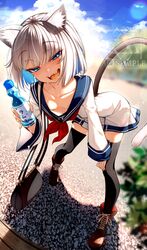 Post 3727069