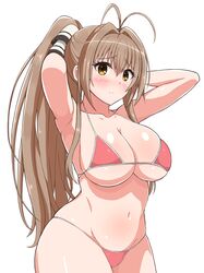 Post 3727969