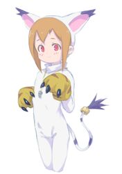 Post 3733069