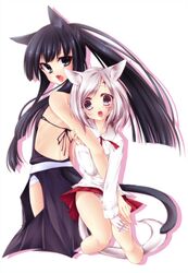 Post 359579
