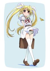 Post 3760816