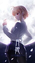 Post 3771617