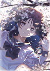 Post 3773905
