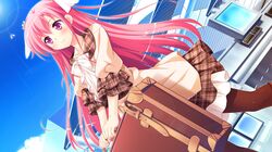 Post 3800246