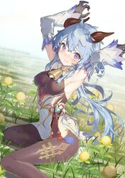 Post 3811182
