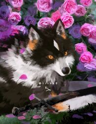 Post 6877737