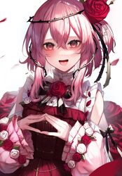 Post 3847104