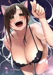 Post 3875492