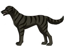 Post 372077