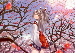 Post 3894246