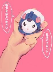 Post 3901257