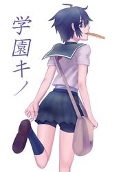 Post 375245