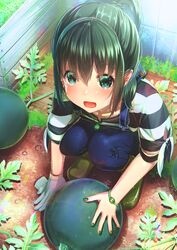 Post 3937066