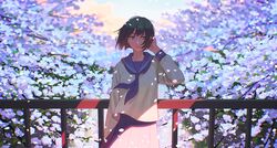 Post 3941795