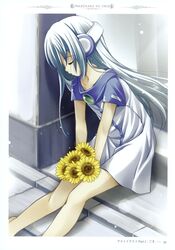 Post 378033