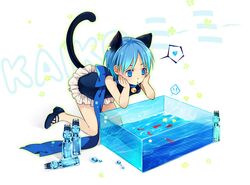 Post 379277