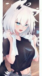 Post 3960618