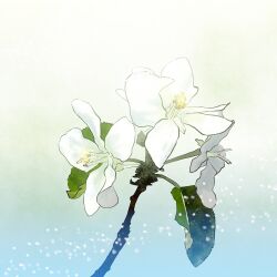 Post 6328047